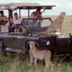 5-Day Kenya Safari (Budget Private)