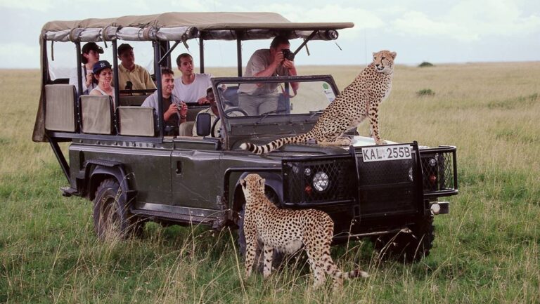 5-Day Kenya Safari (Budget Private)